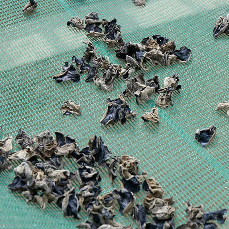 Red de pesca con agujero denso, esterilla de secado de apertura de 3Mm, red de pesca semiacabada, puede capturar todo tipo de peces pequeños y camarones - imagen 3