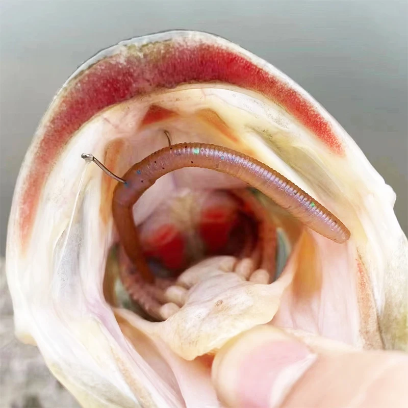 Donlejian Soft Bait Series lombriz fideos gusano WMD100 cebo falso PAGEBASS señuelo de pesca - imagen 4