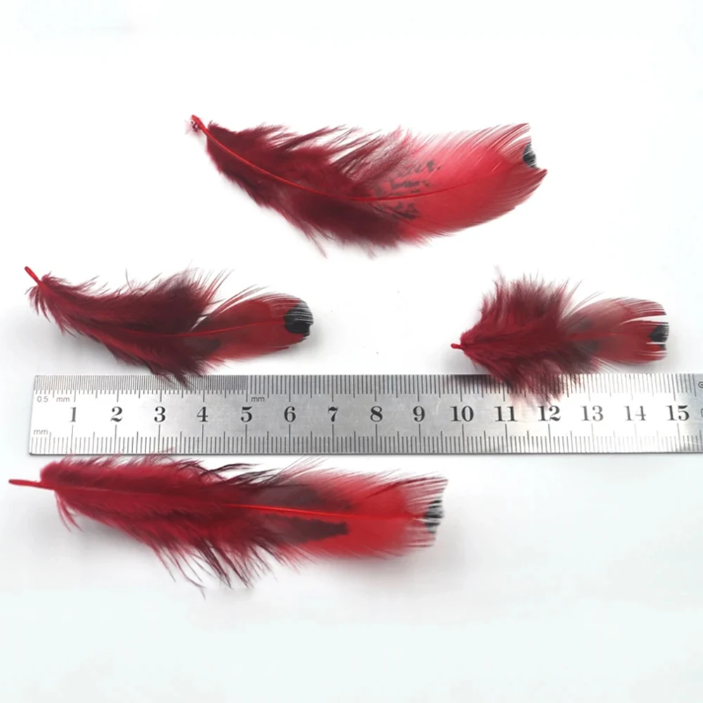 Plumas de faisán rojo MNFT para atar moscas de pesca
