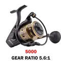 5000