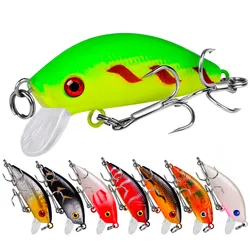 Crankbait Flotante para Carpa – Minnow