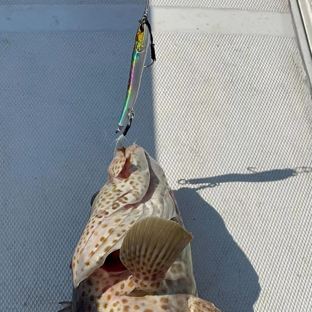 Plantilla de Metal 3D Shore Jigging 20G30G40G60G80G señuelo de pesca de agua salada arrastre cebo duro duro plantillas de lubina para atún Mahi Marlin - imagen 4