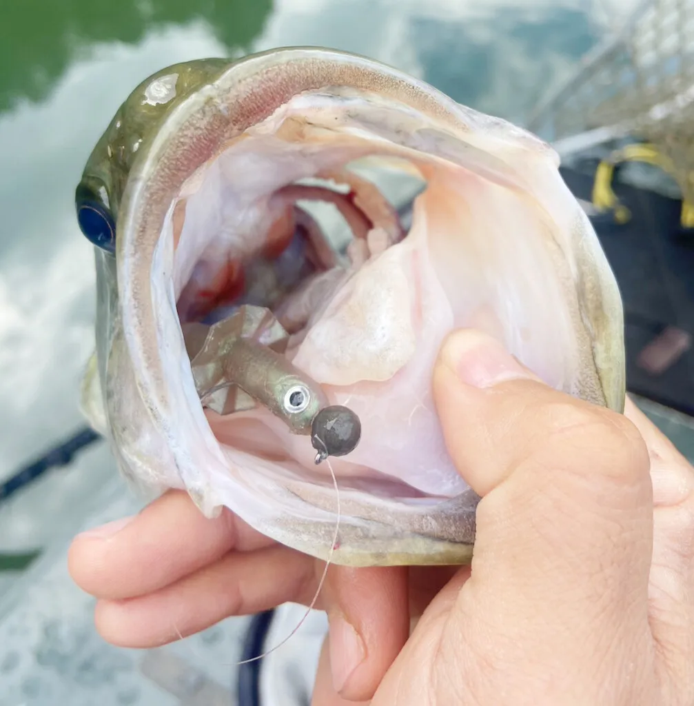 Japón OSP nuevo Concepto pequeño tipo pez señuelo cebo suave ERIMAKI SHAD tamaño pequeño fuerte fluctuación alta presión afilada - imagen 3