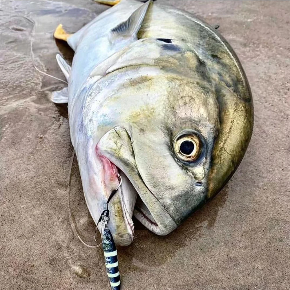 Señuelo de pesca de agua salada 30G60G100G220G, plantilla de Metal 3D, Jigging de arrastre lento, cebo Artificial fundido para atún marino Mahi Marlin Wahoo - imagen 5