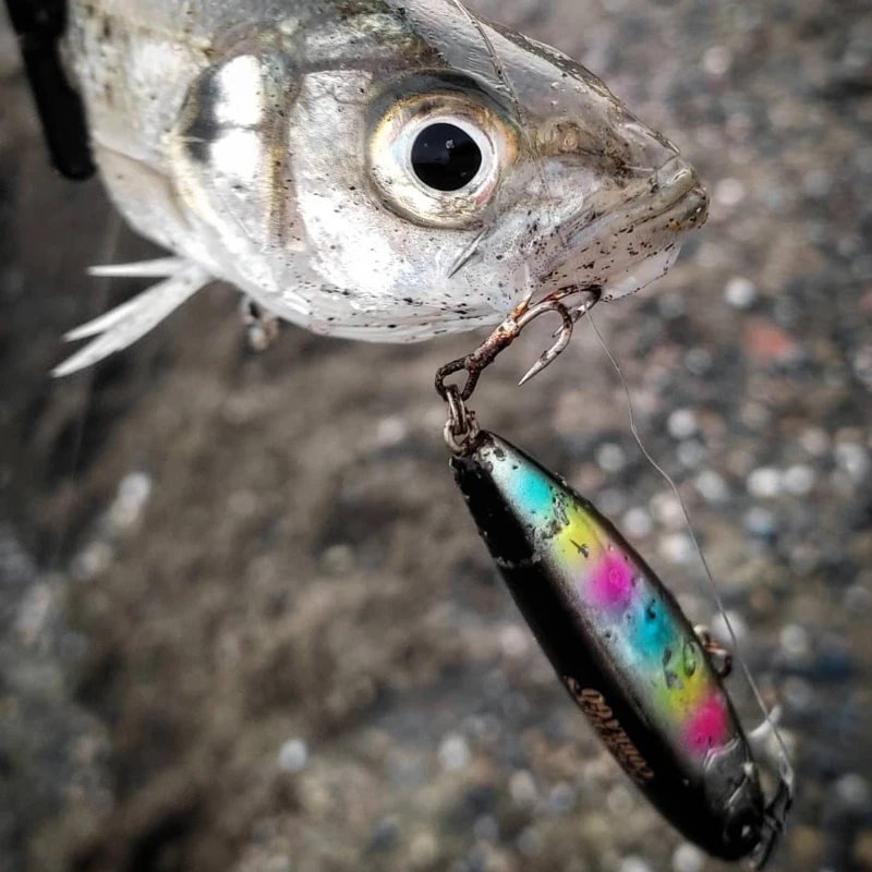 6g/12g barras adhesivas suspendidas Ima Pugachevs Cobra 90 Señuelos de Pesca lápiz Ima cebos artificiales para Pesca Bonito Rockfish Seabream - imagen 4