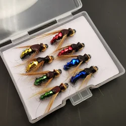 Kit de Moscas para Trucha – Ninfas, Scud, Secas y Húmedas