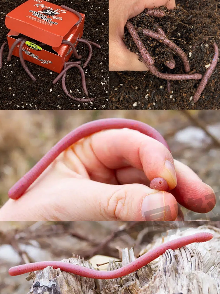 Dúo japonés REALIS WRIGGLE CRAWLER, alta gravedad específica y gran capacidad, Luya Noodle Worm, acción realista - imagen 5