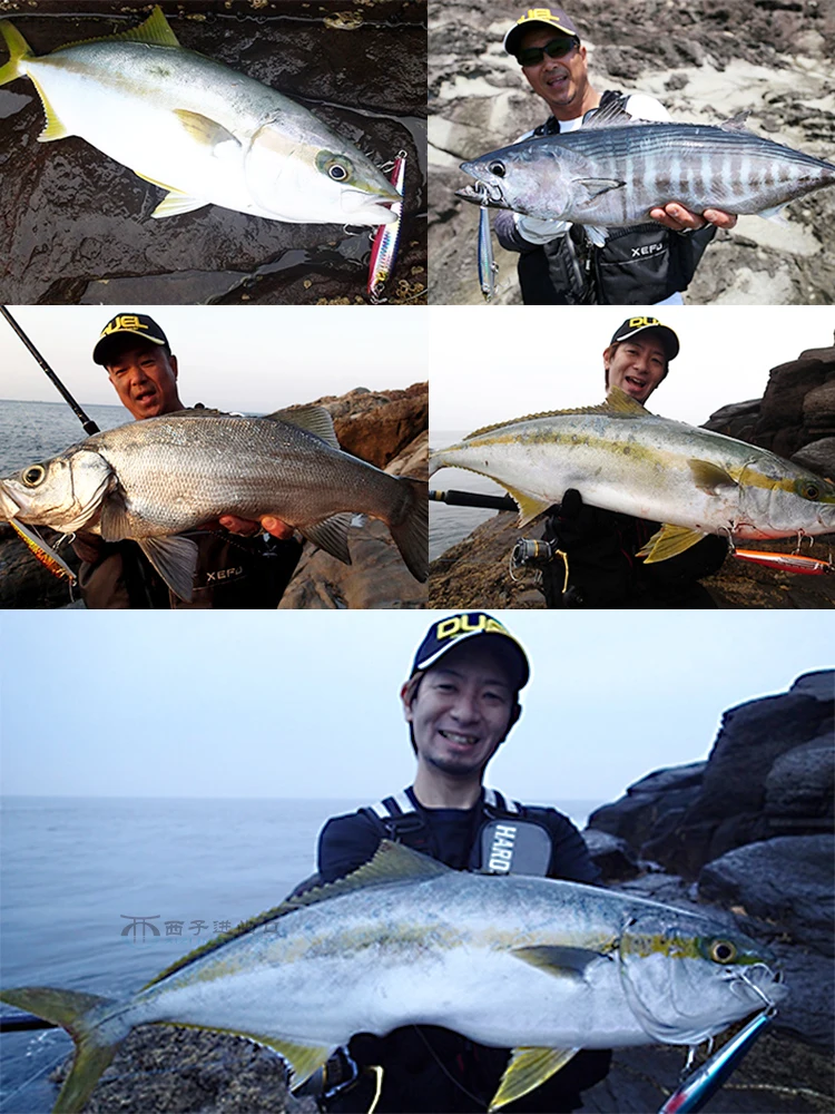 Señuelo tipo lápiz de hundimiento Duel Hardcore, cebo duro de pececillo de fundición Ultra larga distancia para lubina, atún, pez grande F1207, 50g, 40g, 30g - imagen 5