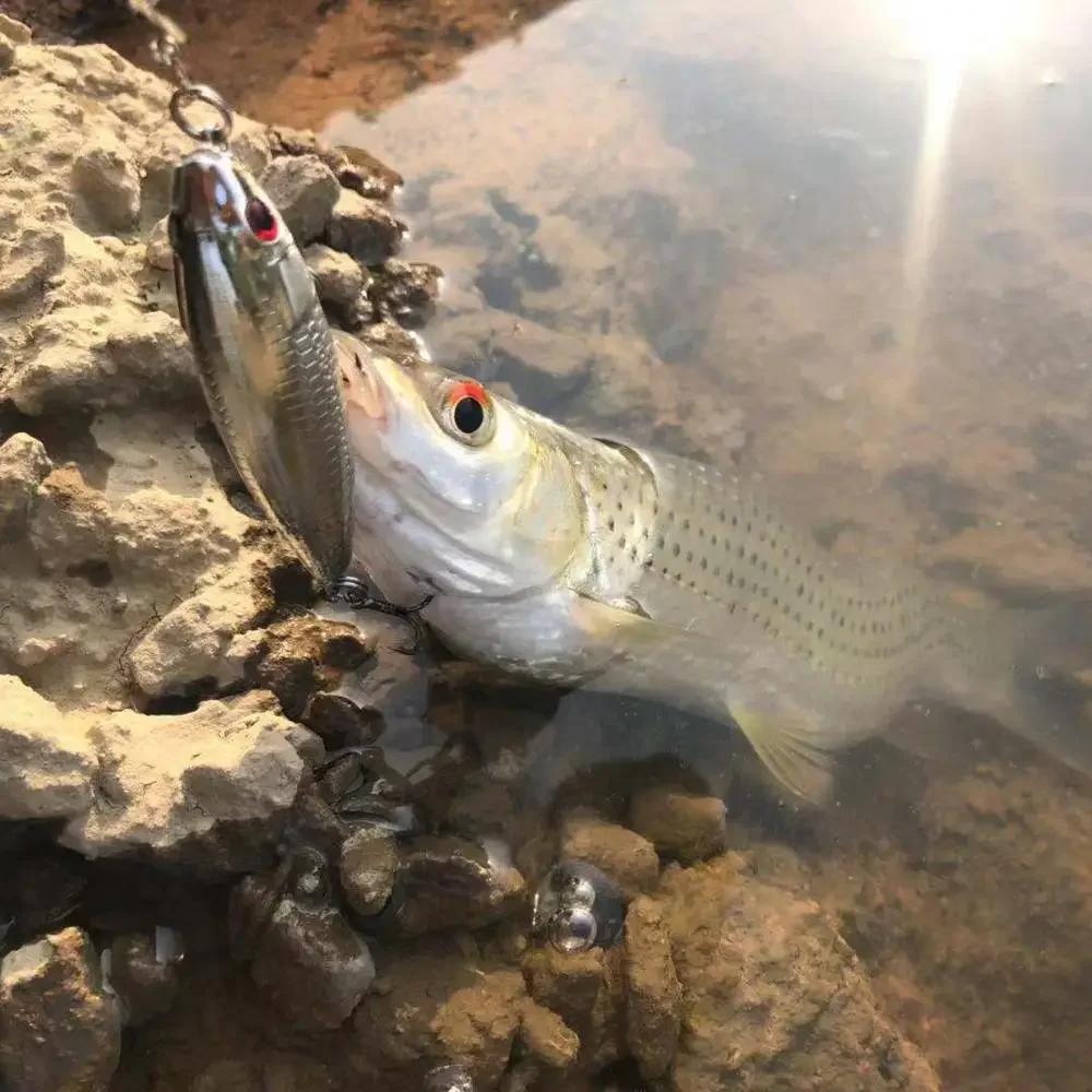 Nuevo Mini Wobblers lápiz flotante Isca señuelo de Pesca Artificial cebo duro plástico Crankbait Pesca lubina Japón Pesca caminar perro - imagen 4