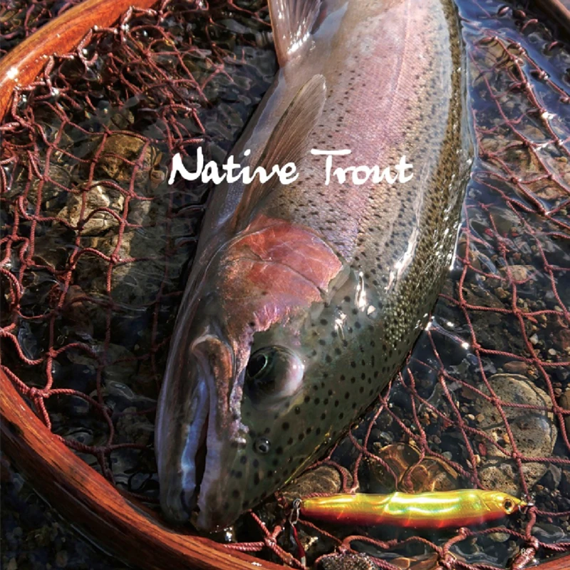 Japón SMITH Smithsonian lápiz sumergido de largo alcance señuelo cebo corriente boca inclinada boca de caballo microobjeto lápiz pequeño - imagen 3