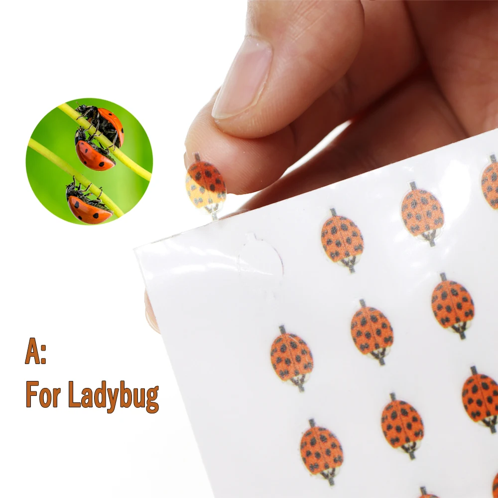 Wifreo, 2 paquetes de alas de mosca realistas, atado de moscas precortadas, alas de insectos, mosca de piedra sintética, botella de mosca, trucha, señuelo, materiales para atar - imagen 4