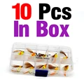 10pcs In Box