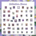50PCS