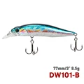 DW101-77SP-B