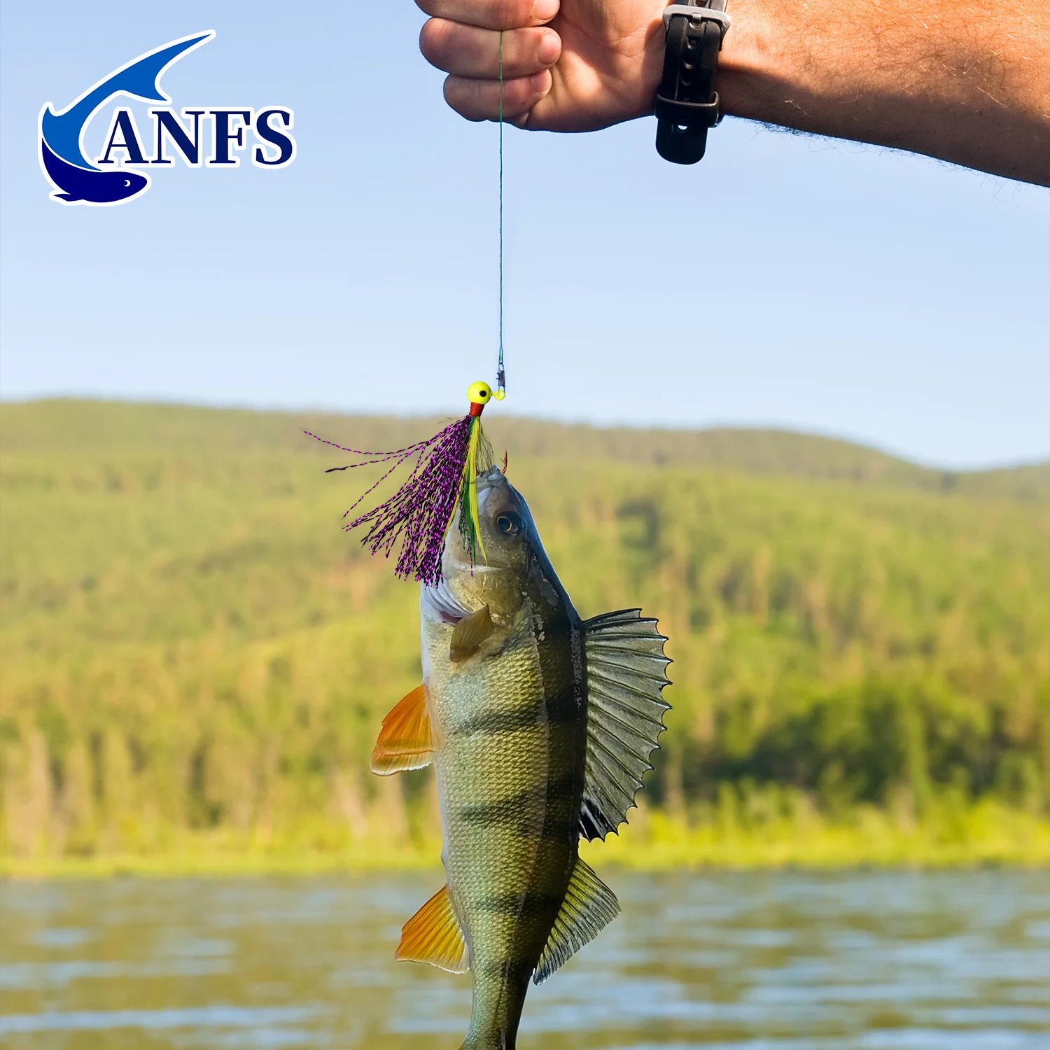 ANFS Jig Head con Ojos Realistas – Señuelos de Pesca - imagen 5