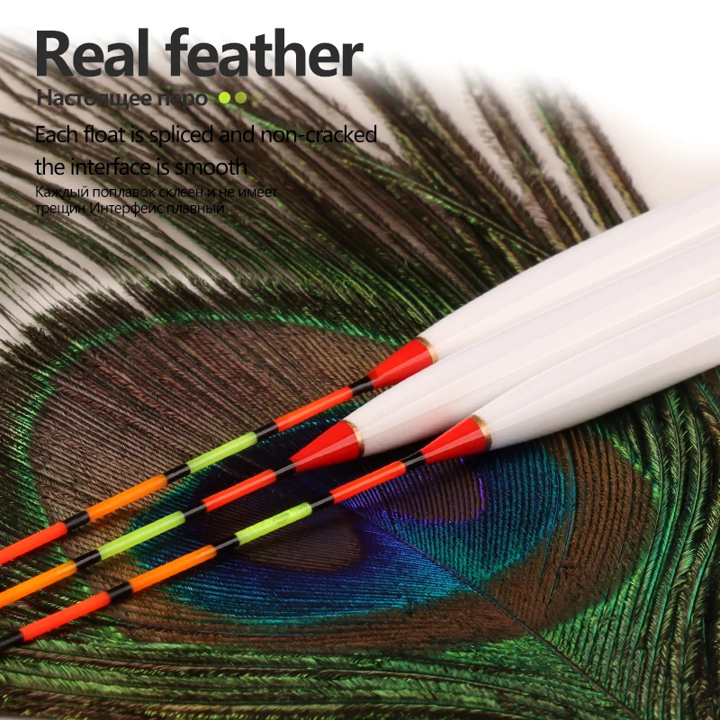 Flotadores verticales de pluma de pavo real para carpa cruciana - imagen 5