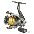 FS 1000