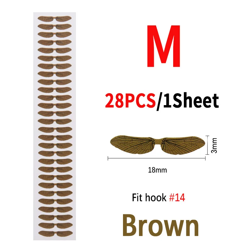 1 Brown M