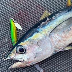 Jig de Metal 3D Shore Jigging 60G80G arrastre fundido cuchara dura cebo pesca de agua salada lubina trucha señuelos atún Mahi Marlin