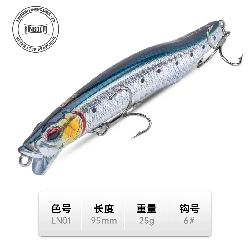 25G-9CM-LN01