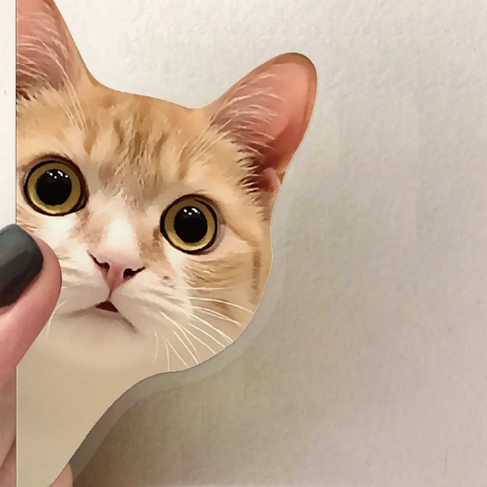 Pegatinas transparentes de memes de gatos para móvil, guitarra y más - imagen 3