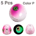 5 Pcs Color P