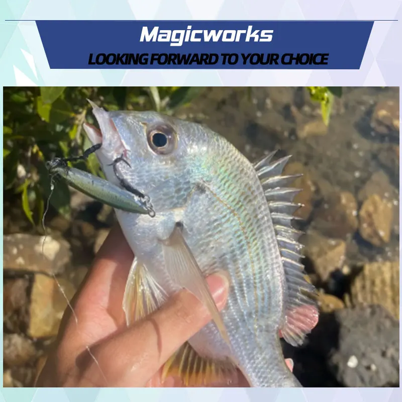Suministros de pesca mágicos, nuevo plantilla, Señuelos de Pesca de Mar, trucha, 15g, 20g, 30g, 40g, cebos de pescado falsos, plantilla de Metal, señuelo de lubina, cebo Artificial - imagen 3