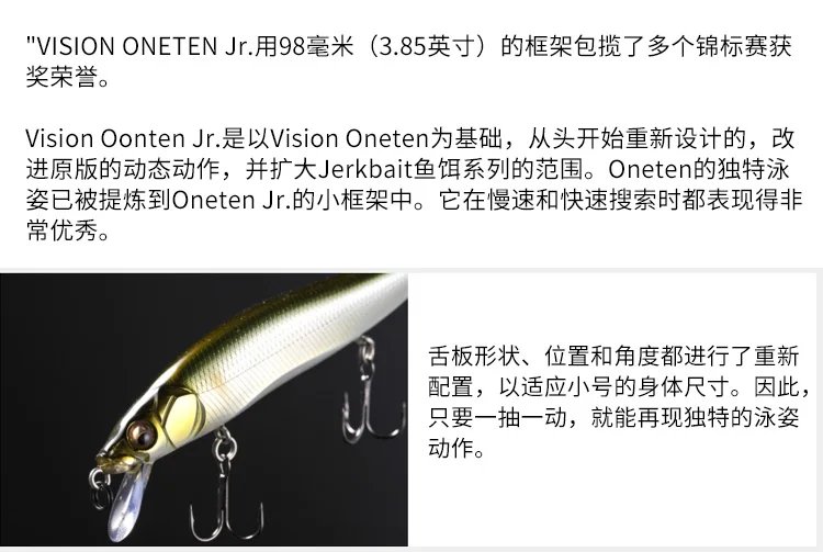 Japón VISION ONETEN JR 98 mm Suspensión, tope de bombeo Mino, señuelo cebo - imagen 5