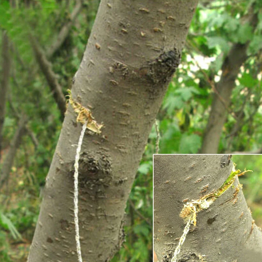 Sierra de alambre portátil de acero inoxidable con mango para dedo, herramienta de supervivencia para acampar al aire libre, senderismo, bolsillo, corte Manual, sierras de cadena - imagen 5