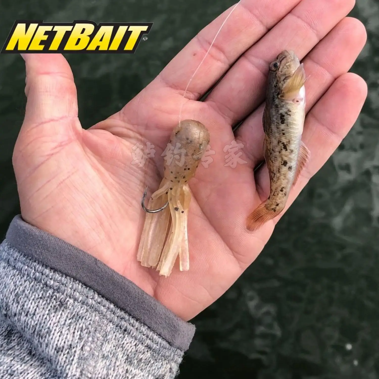 NETBAIT American STH TUBES tubo de medusa de 2,5 pulgadas gusano tipo fino añade cebo blando BAITFUEL Luya - imagen 3