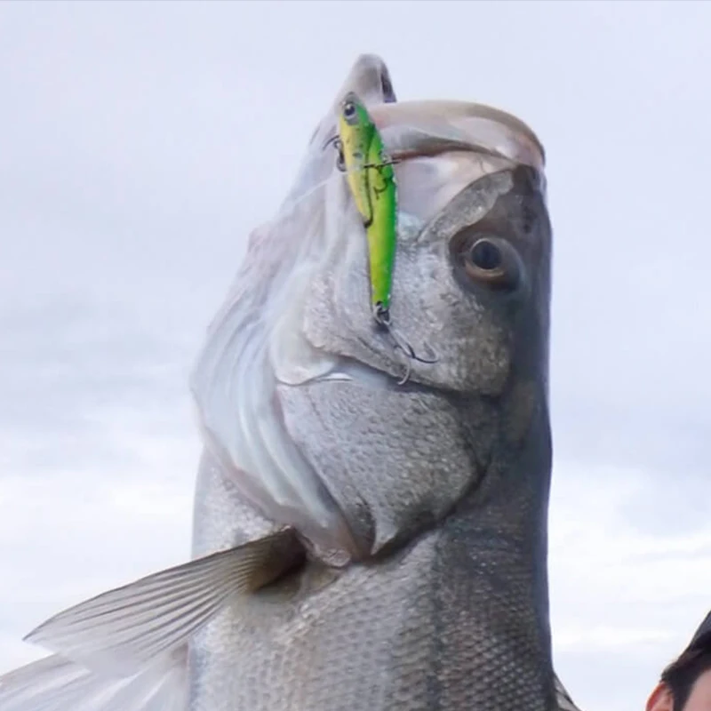 Imalure SCHNEIDER-Placa de hierro de 13g/18g/28g, señuelo de vibración vibratoria, Vib, Bass, Imalure importada de Japón - imagen 2