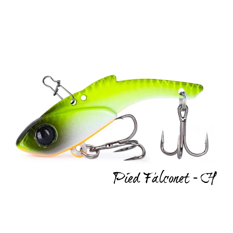 Pied Falconet-H