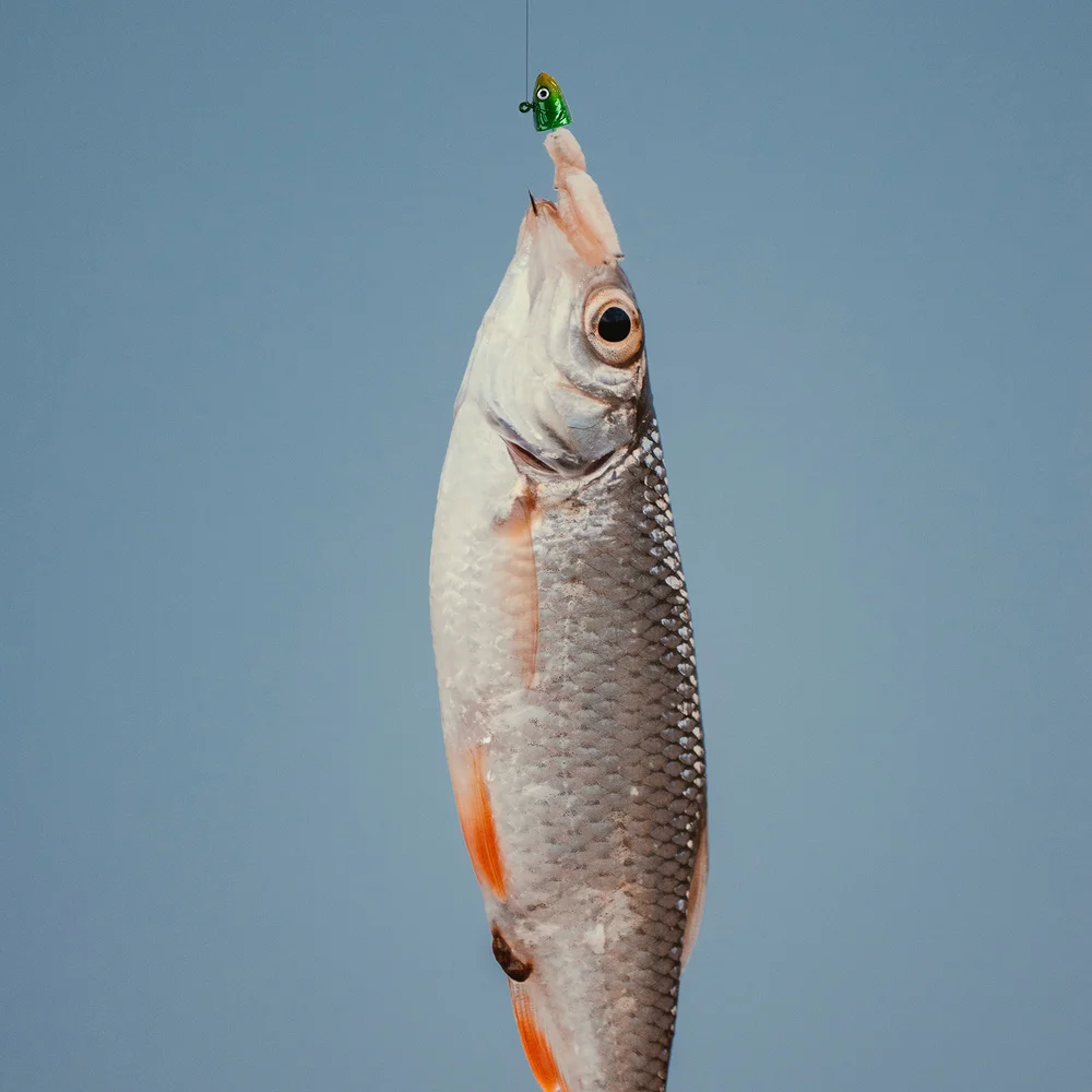 Goture 8 unids/lote anzuelos con cabeza de plomo 3,5g 5g 7g 10g anzuelos de púas de acero alto en carbono tipo pez anzuelo de pesca con ojos de pez 3D - imagen 5