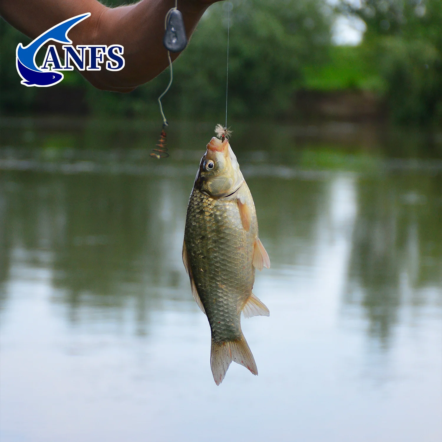 ANFS Royal Wulff Moscas Secas para Trucha con Estuche - imagen 4