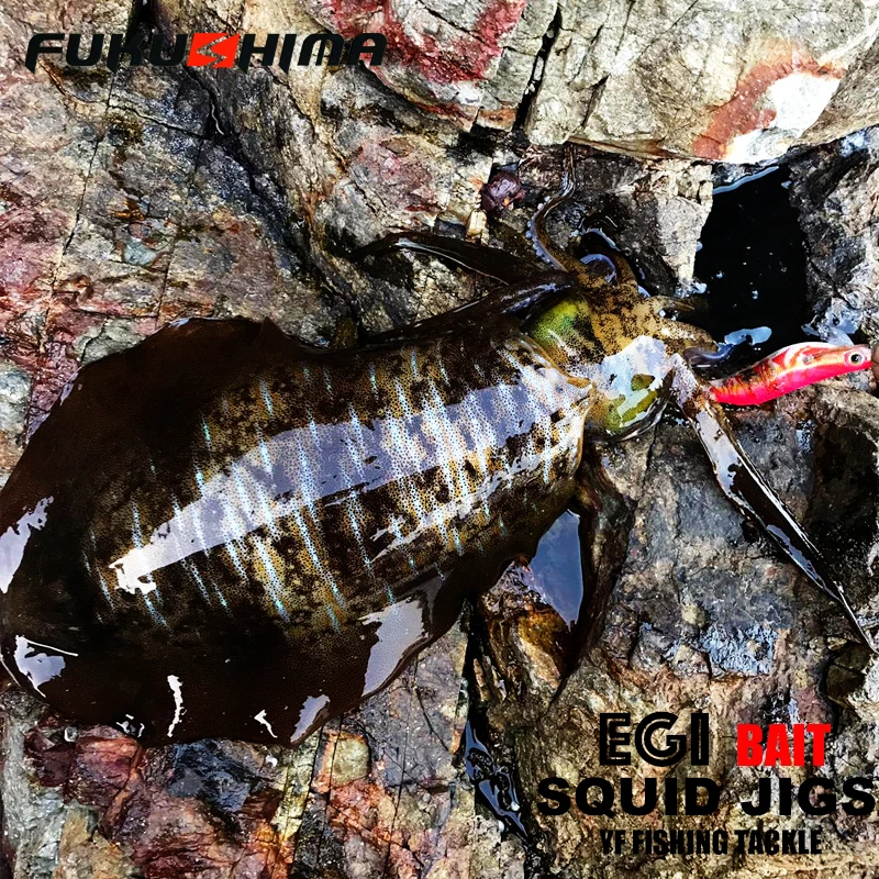 Fukushima EGI – Señuelo para Calamar con Anzuelo Afilado y Brillo - imagen 4