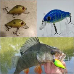 WLure Crankbait panzudo – Señuelo de poca profundidad para spinning
