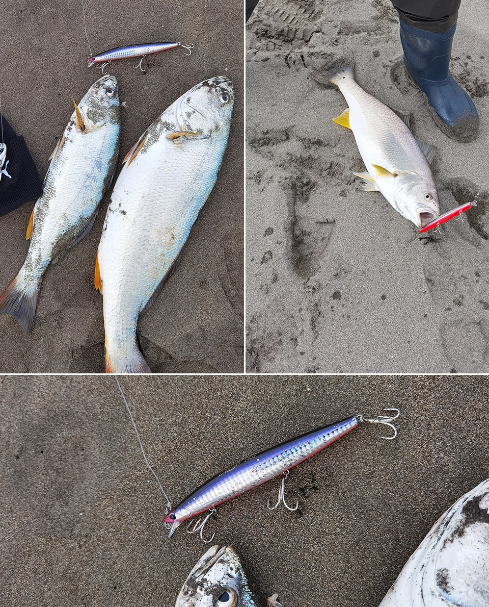 STINGER 140F en acción de pesca
