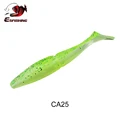 CA25