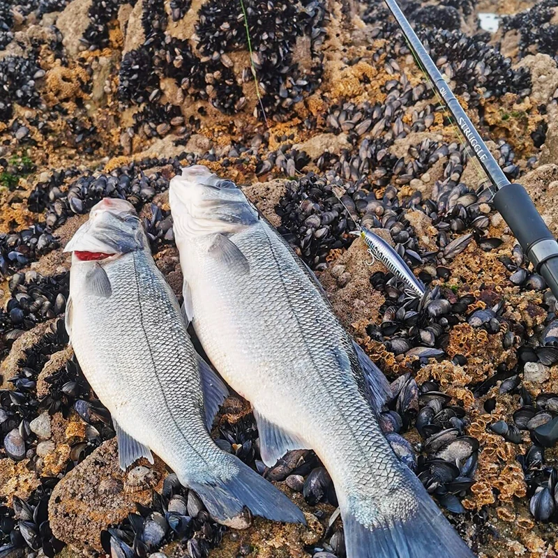 TSURINOYA Mar 120F – Señuelo flotante 120mm 19g para mar - imagen 2