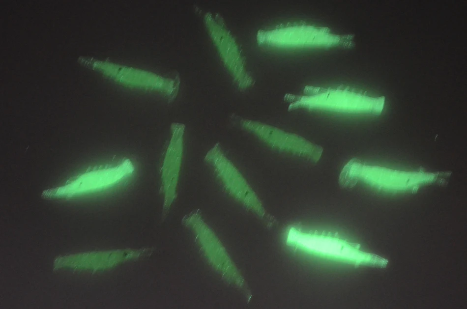 Señuelos de Silicona Luminosos MNFT – Camarón para Sabiki - imagen 4