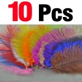 10 PCS