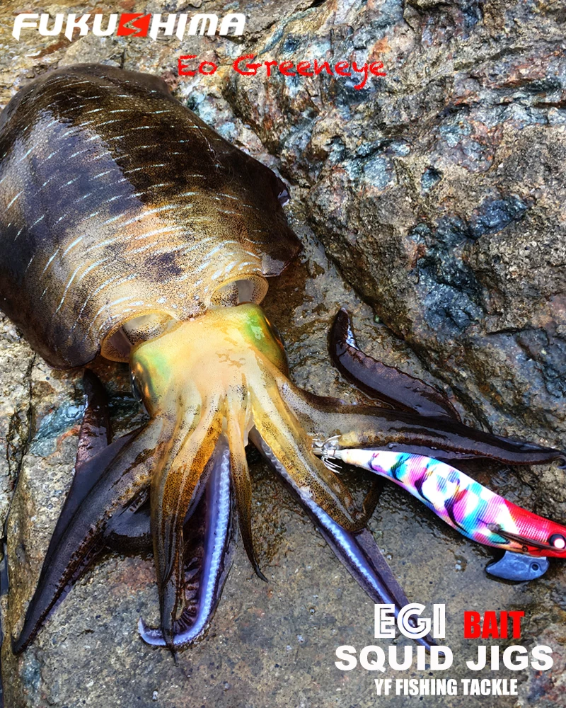Fukushima 3,5 EO Greeneyes – Señuelo EGI luminoso para calamares - imagen 2