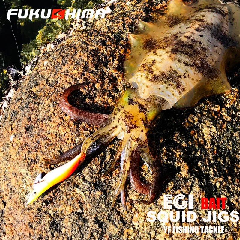 Fukushima EGI – Señuelo para Calamar con Anzuelo Afilado y Brillo