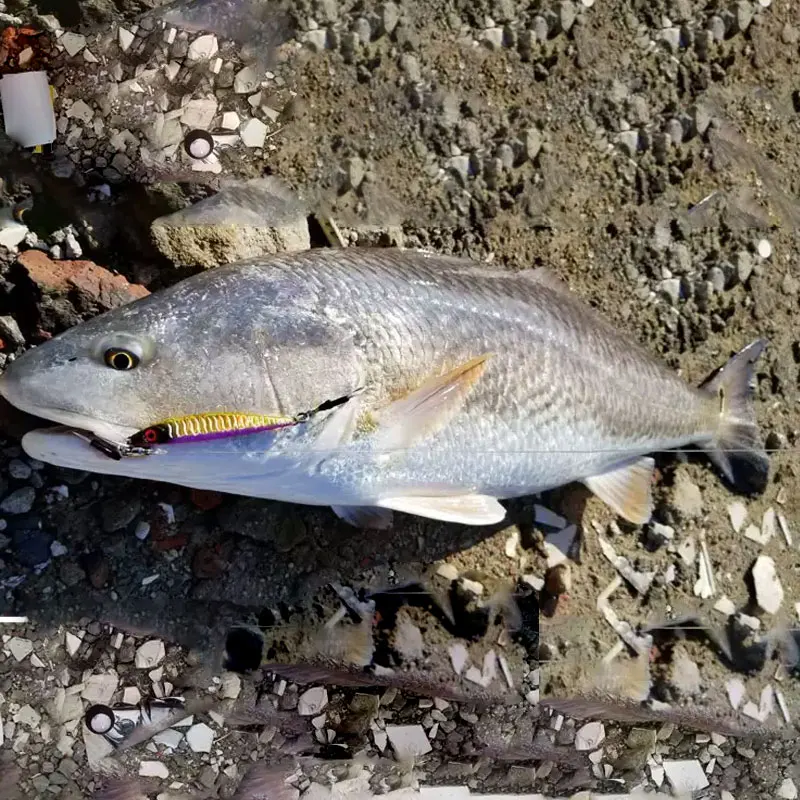 Obsession J100 Jigging Plano Sardina agua salada - Cebo de metal - imagen 5