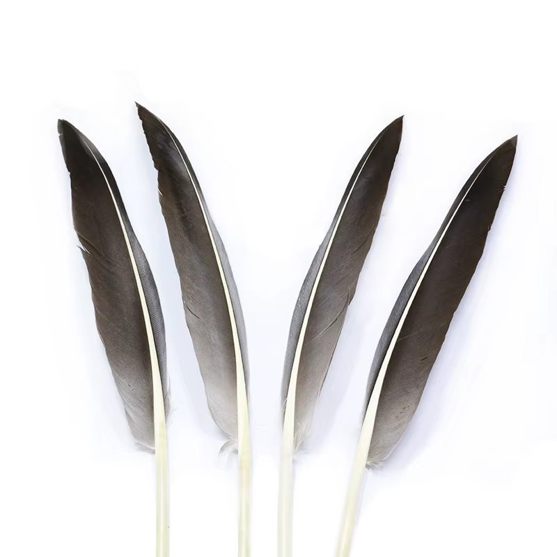 Plumas de Pato Persuader Grado A para Atado de Moscas