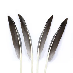 Plumas de Pato Persuader Grado A para Atado de Moscas