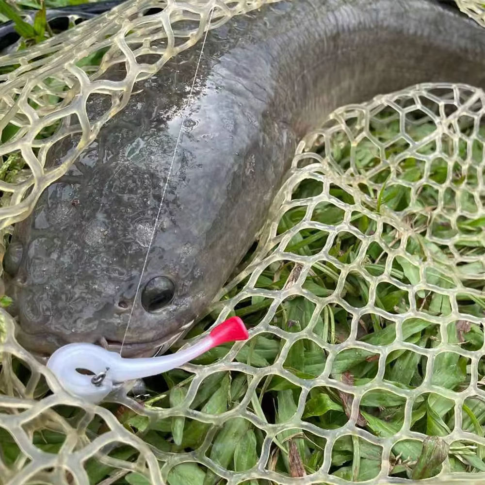 JOHNCOO Swimbait TPR 70mm – Señuelo Jigging para Lubina - imagen 5