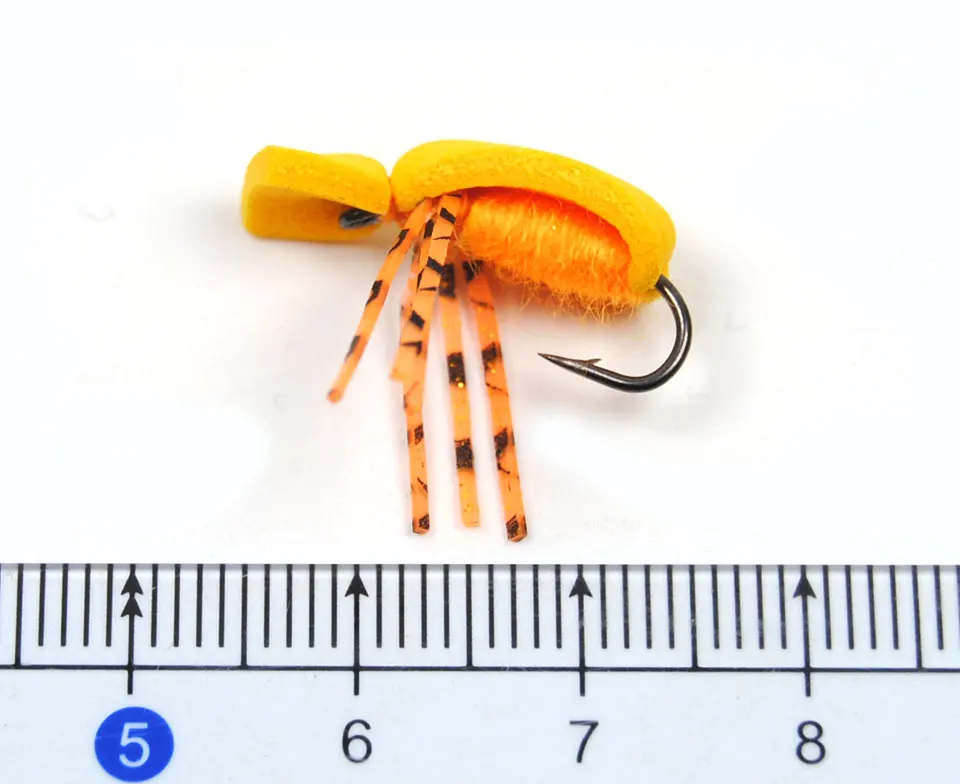 Escarabajo de espuma naranja ICERIO en detalle