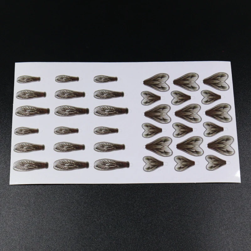 Alas de caddis en varios tamaños