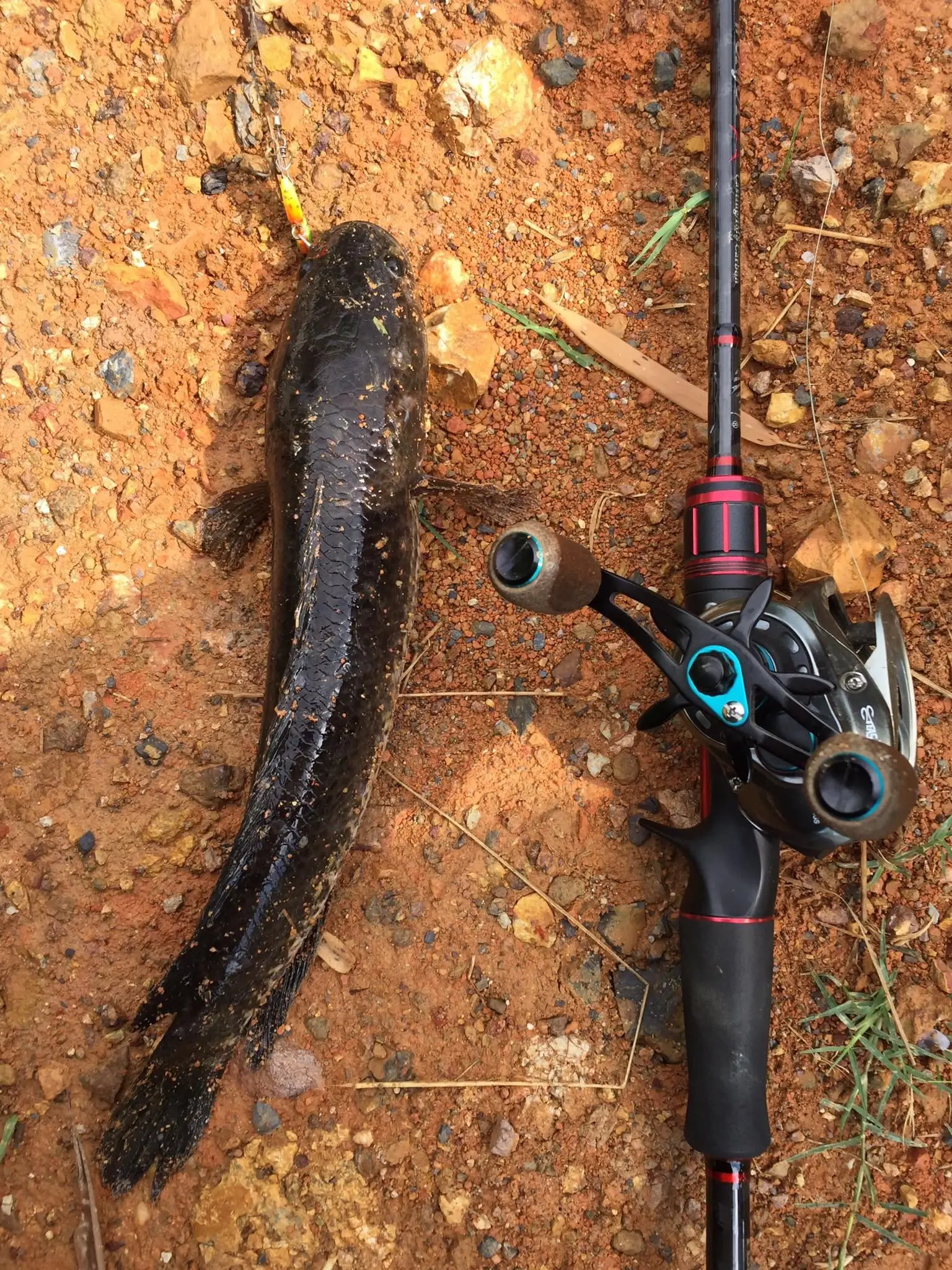 Carrusel Baitcasting TEASER Ultra Light con freno magnético - imagen 5